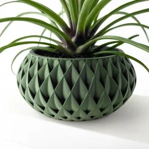 Cinor Planter: Modern Indoor Planter, Designer Plant Pot