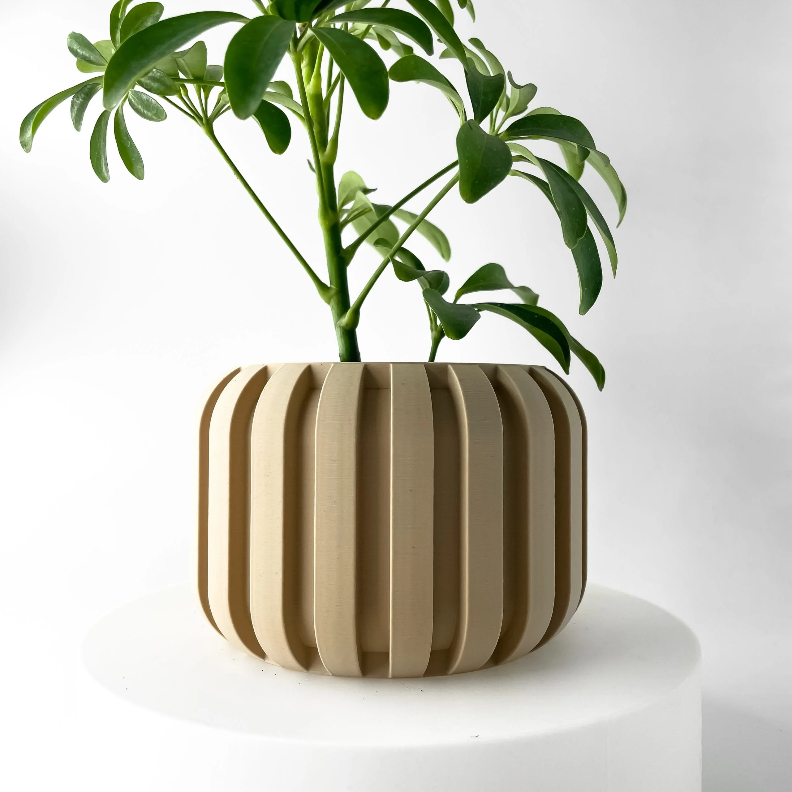 Panu Planter: Modern Indoor Planter, Designer Plant Pot - Image 4