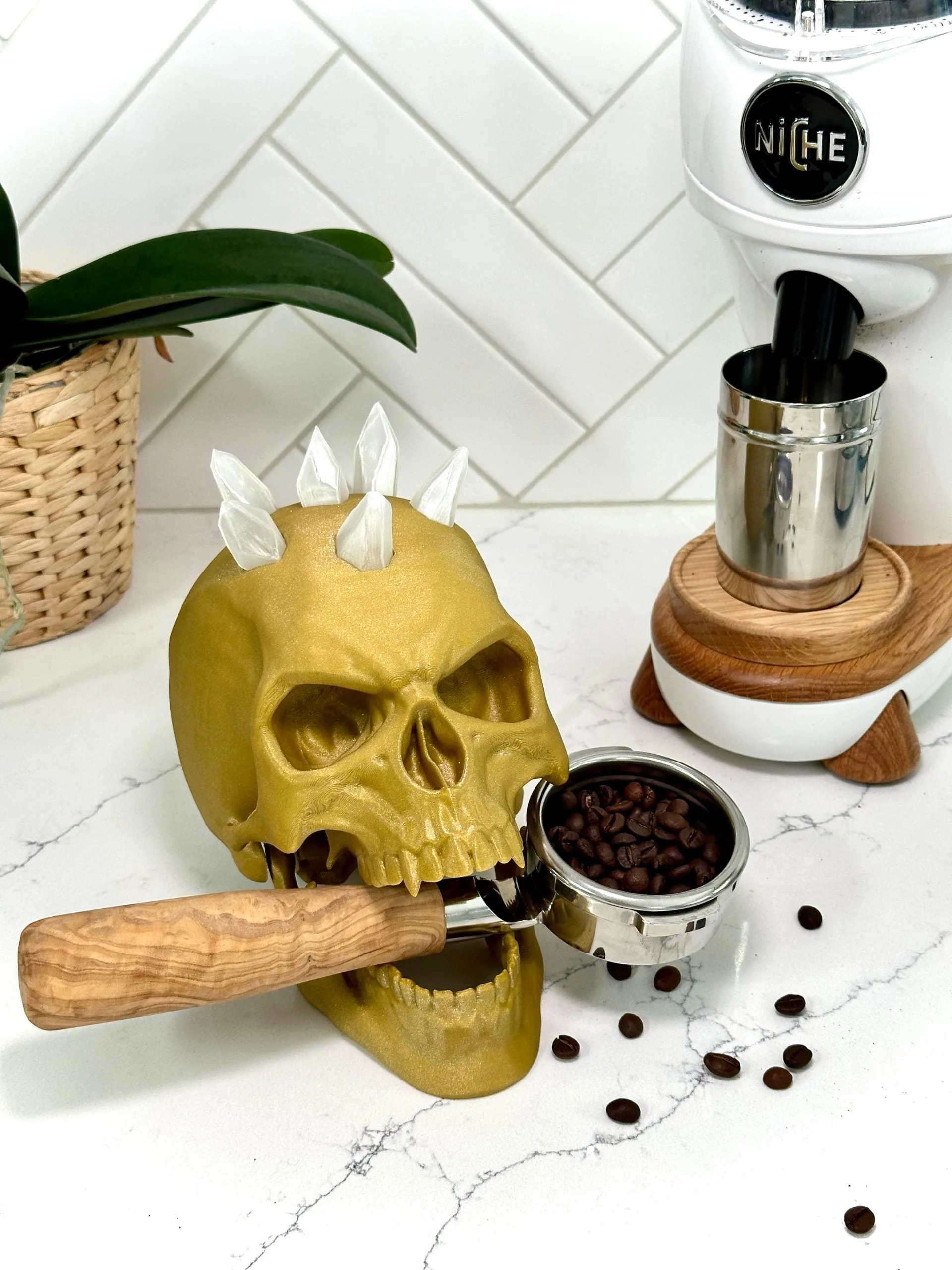 ACEE50CA-CE55-4E92-89CD-65A4C34E680A