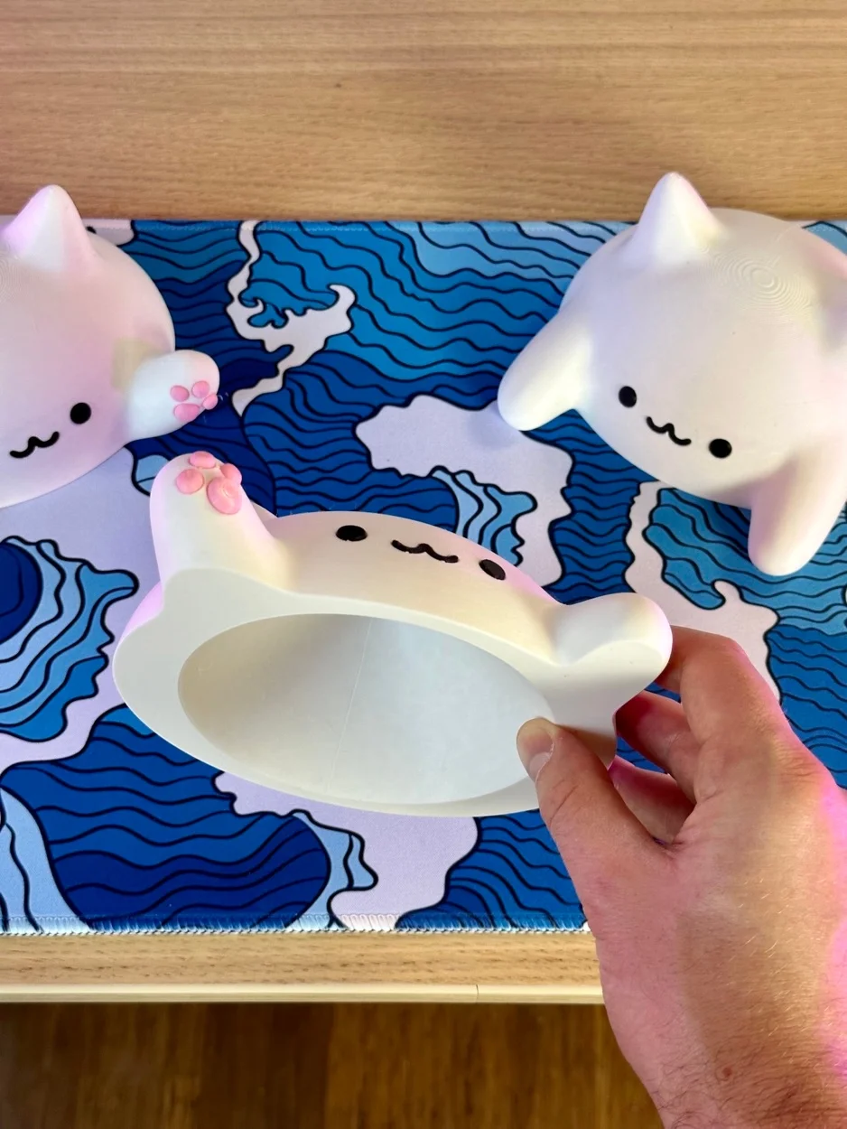 CC90C794-5BCC-4A39-9CB2-1AB981D8C8E5_L0_001